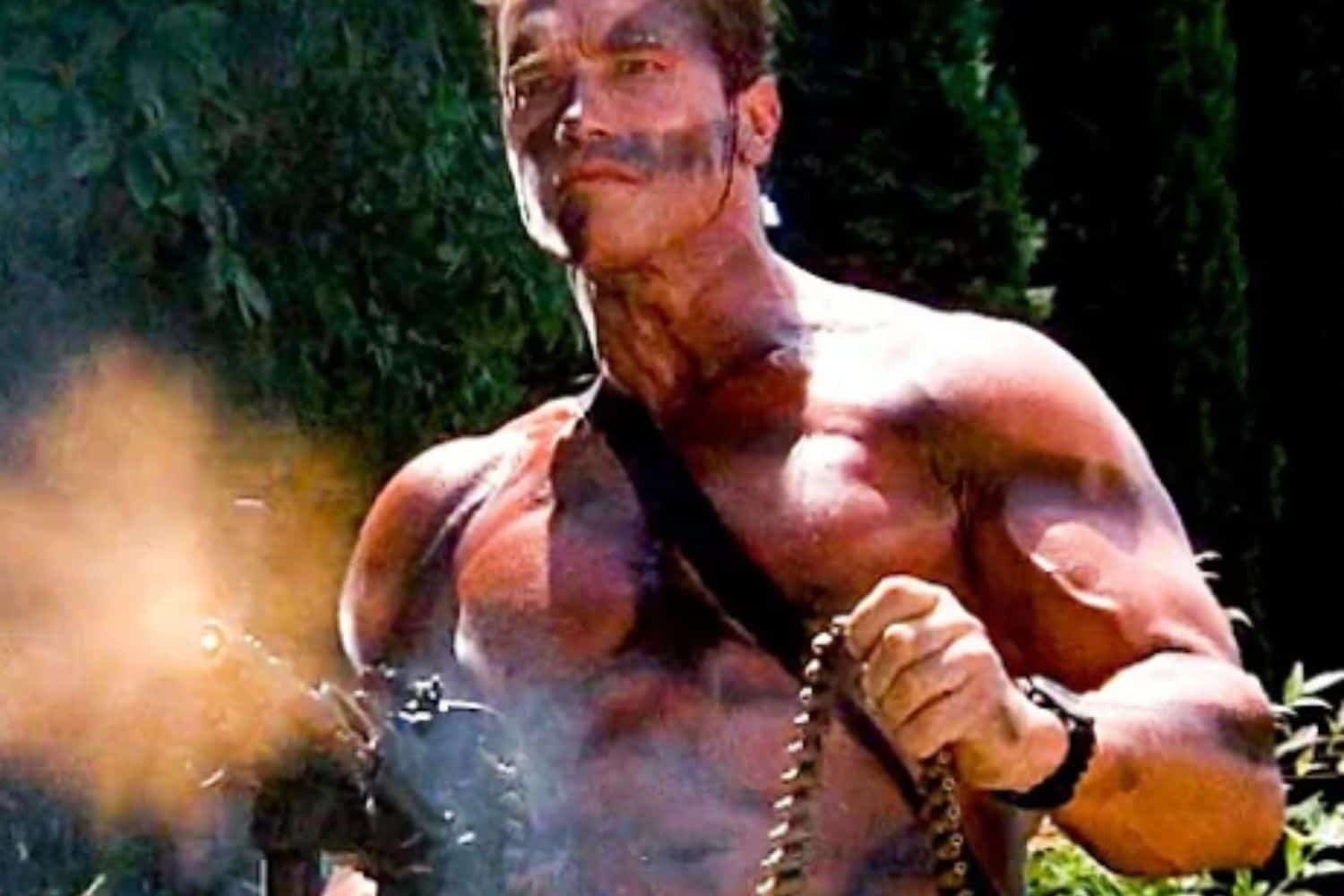 Arnold Schwarzenegger