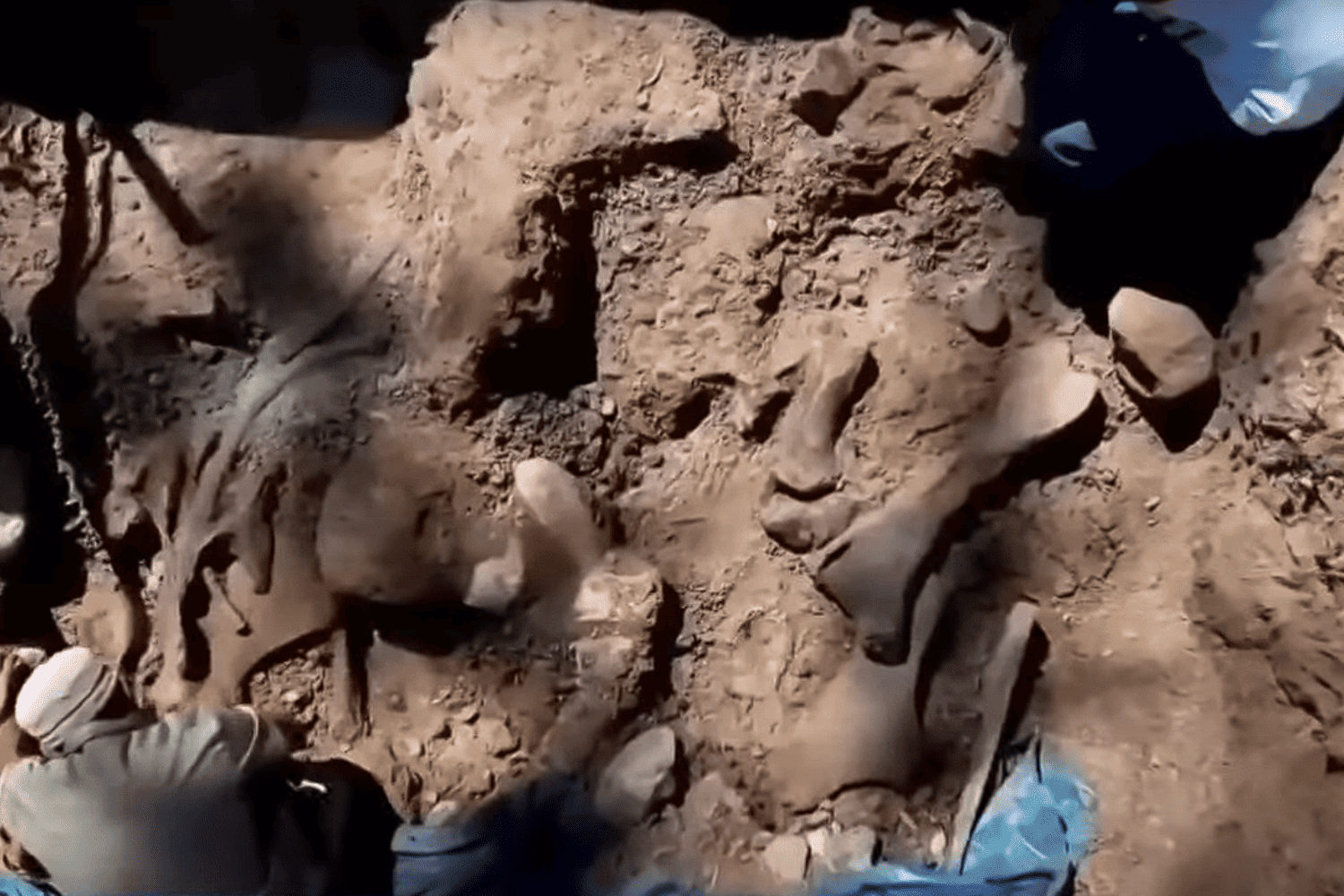 Fosiles de mastodontes en peru