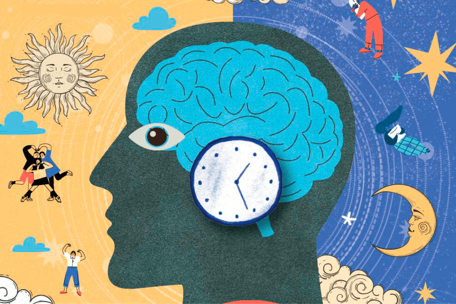 Descubren un reloj cerebral que podría revolucionar los tratamientos del sueño