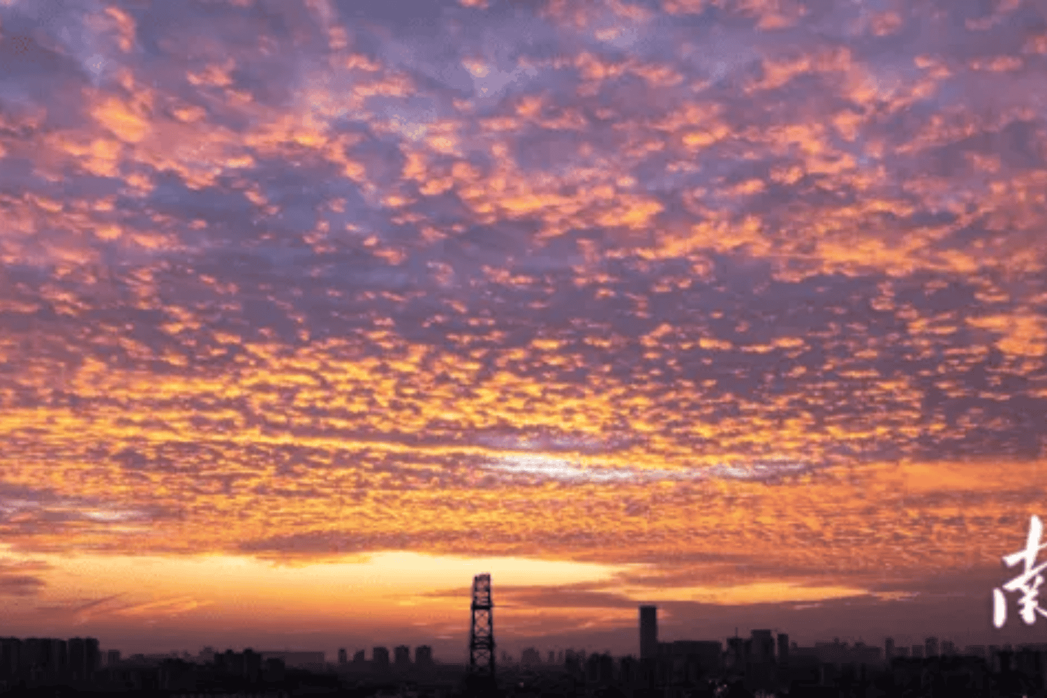 Guangzhou: La ciudad que no puede despedirse del verano, un récord que refleja el cambio climático