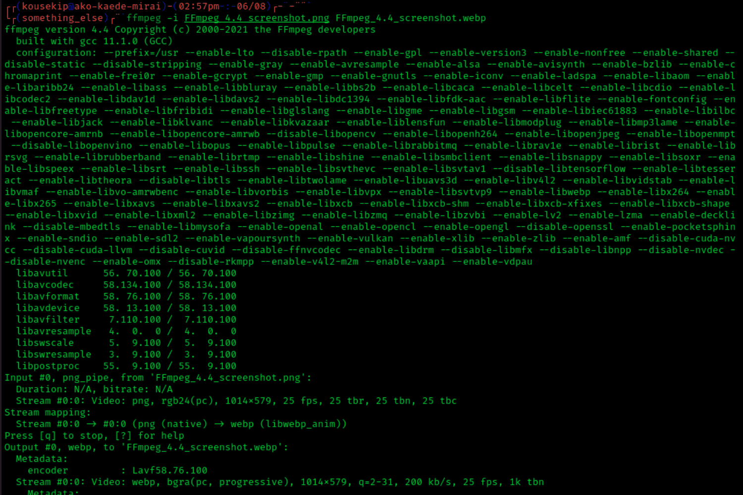 FFmpeg lenguaje programacion
