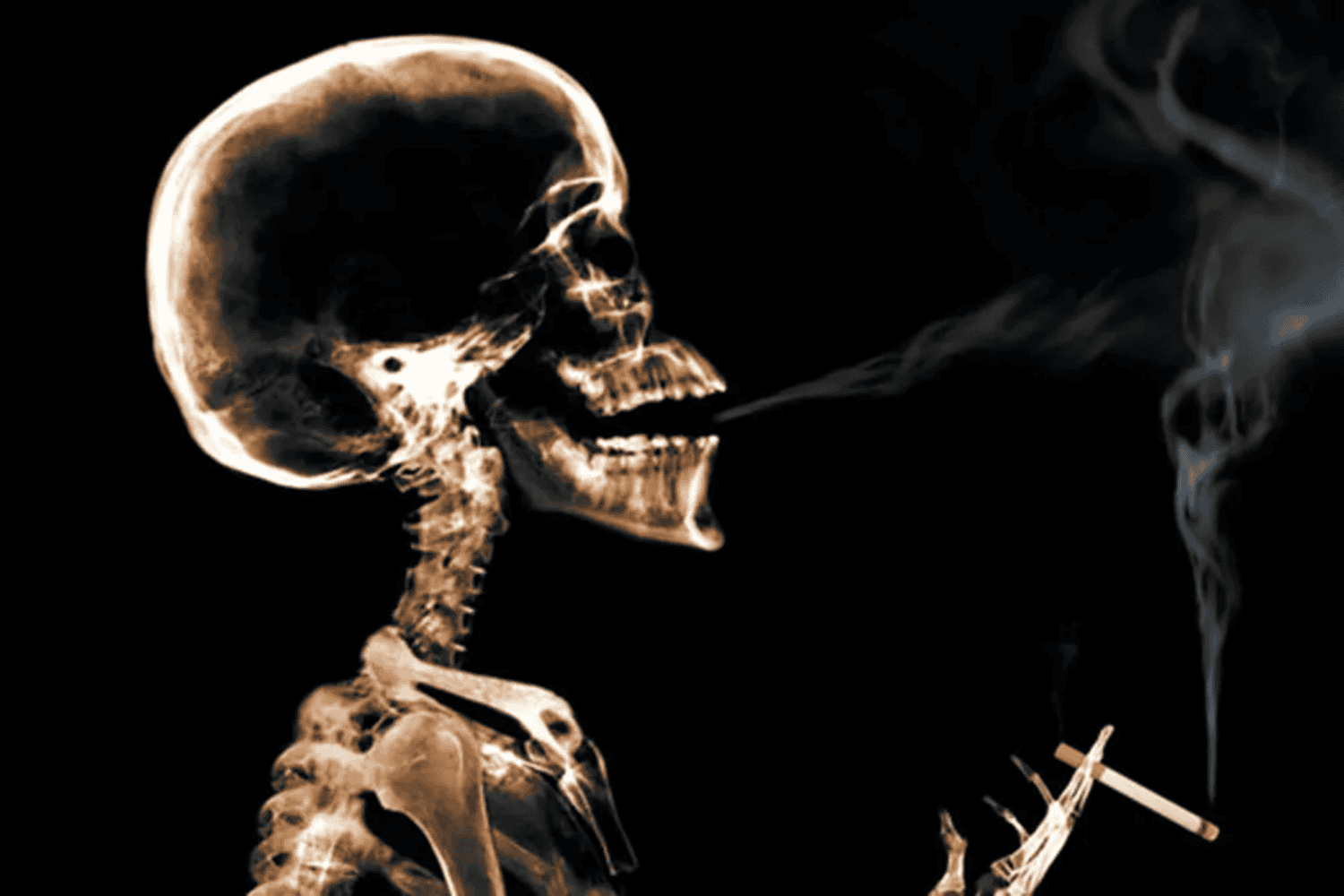 Cómo el tabaco deja marcas permanentes en el cuerpo humano