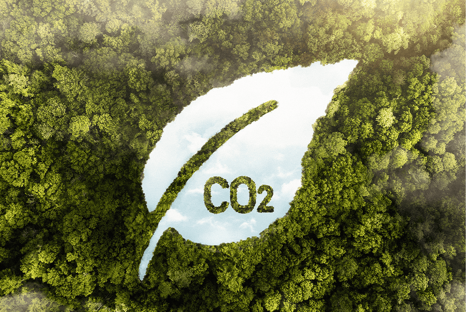 CO2 Carbono y el cambio climático