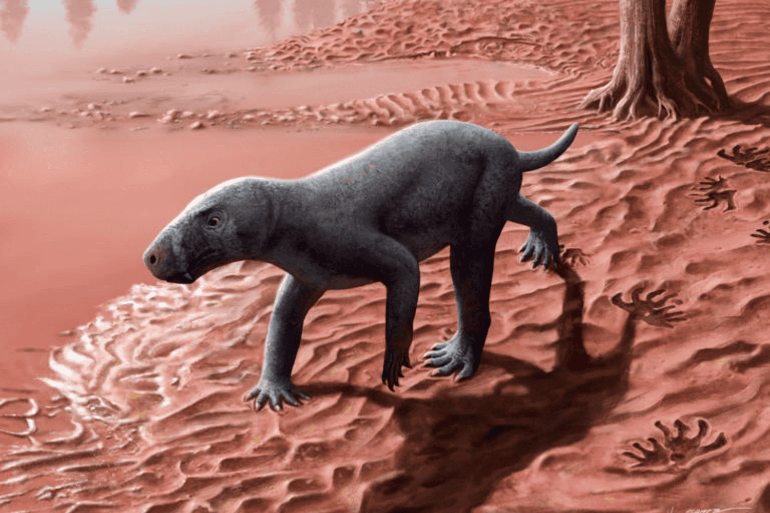 Un monstruo en Mallorca: hallan un gorgonopsio, el ancestro más antiguo de los mamíferos