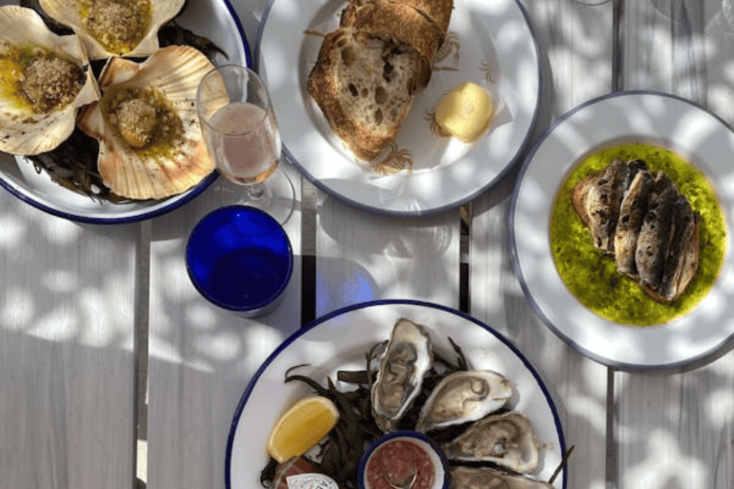 Sardinas: el aliado natural para combatir enfermedades crónicas