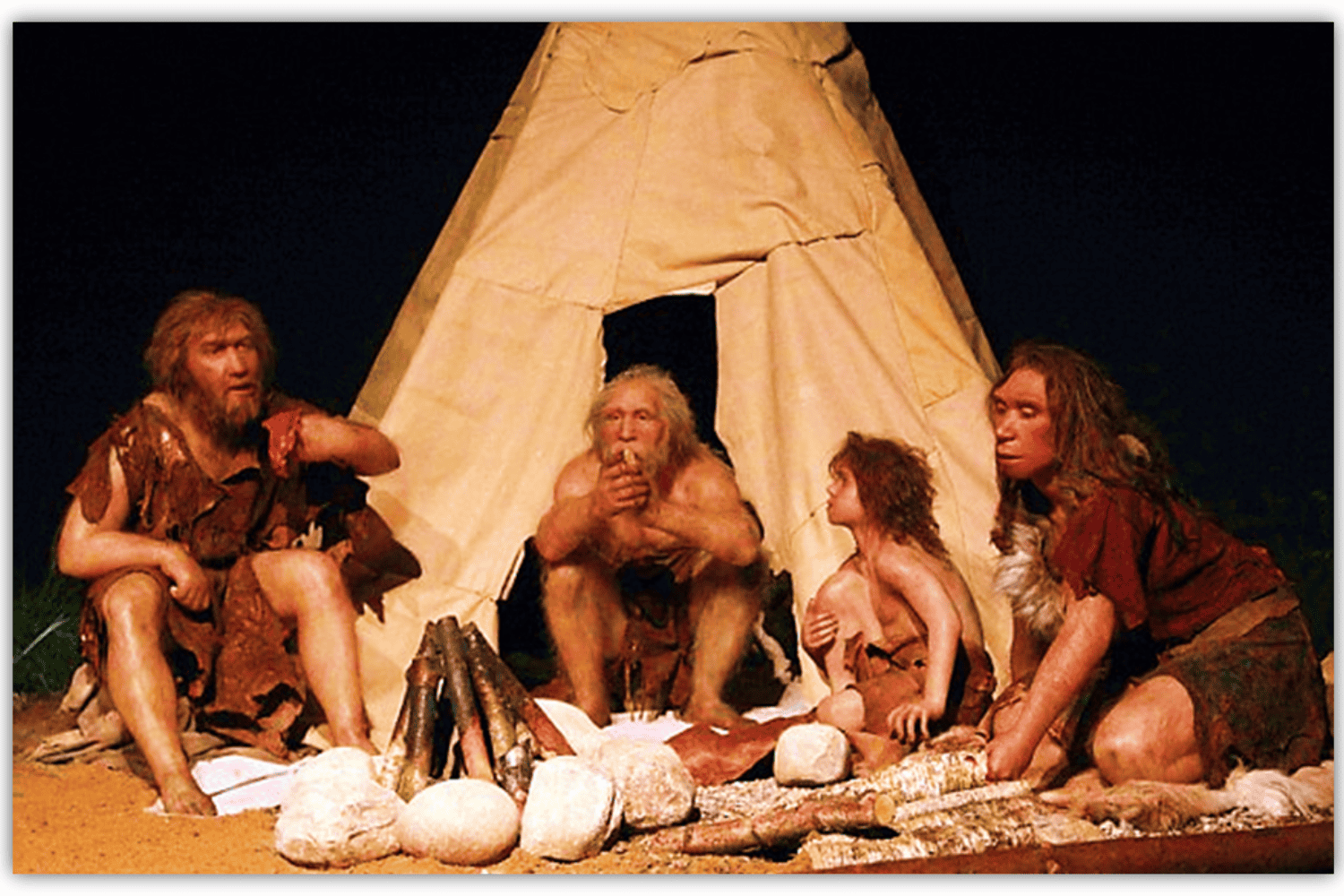 Un hallazgo arqueológico revela que los humanos consumían carbohidratos hace 780.000 años