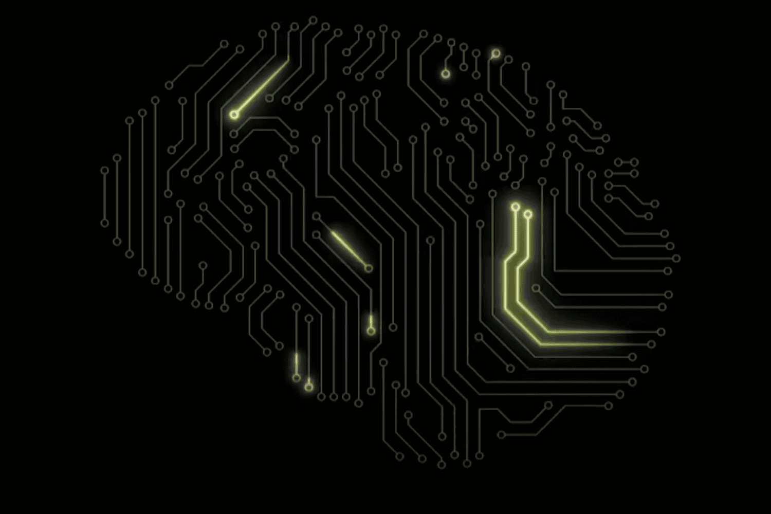 El avance que podría cambiarlo todo: Miami se convierte en el nuevo epicentro de la neurotecnología