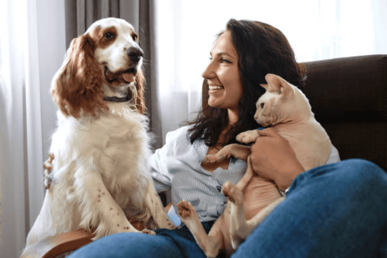 Descubre qué dice de ti la forma en que hablas con tu mascota