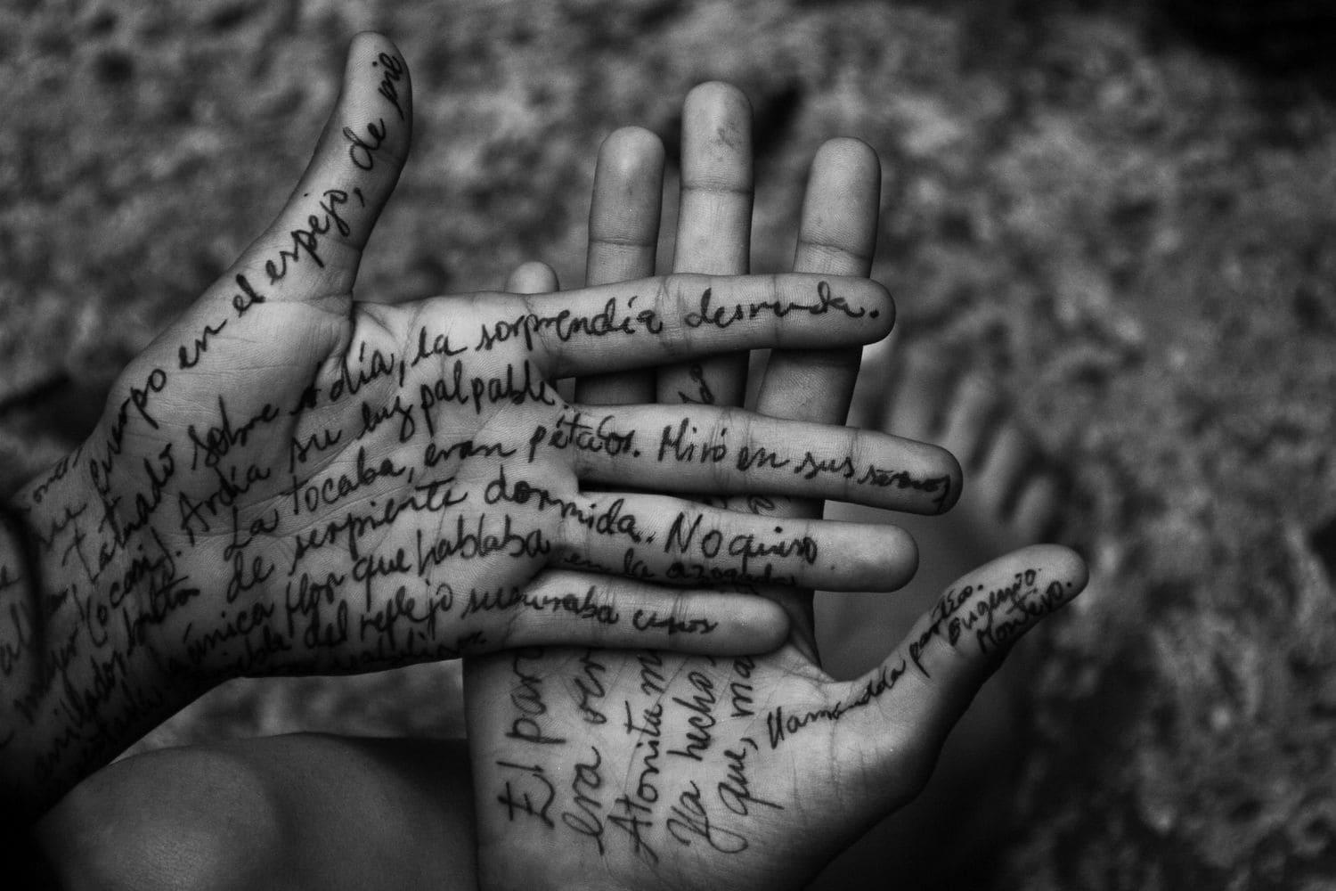 Lenguaje comunicación idiomas