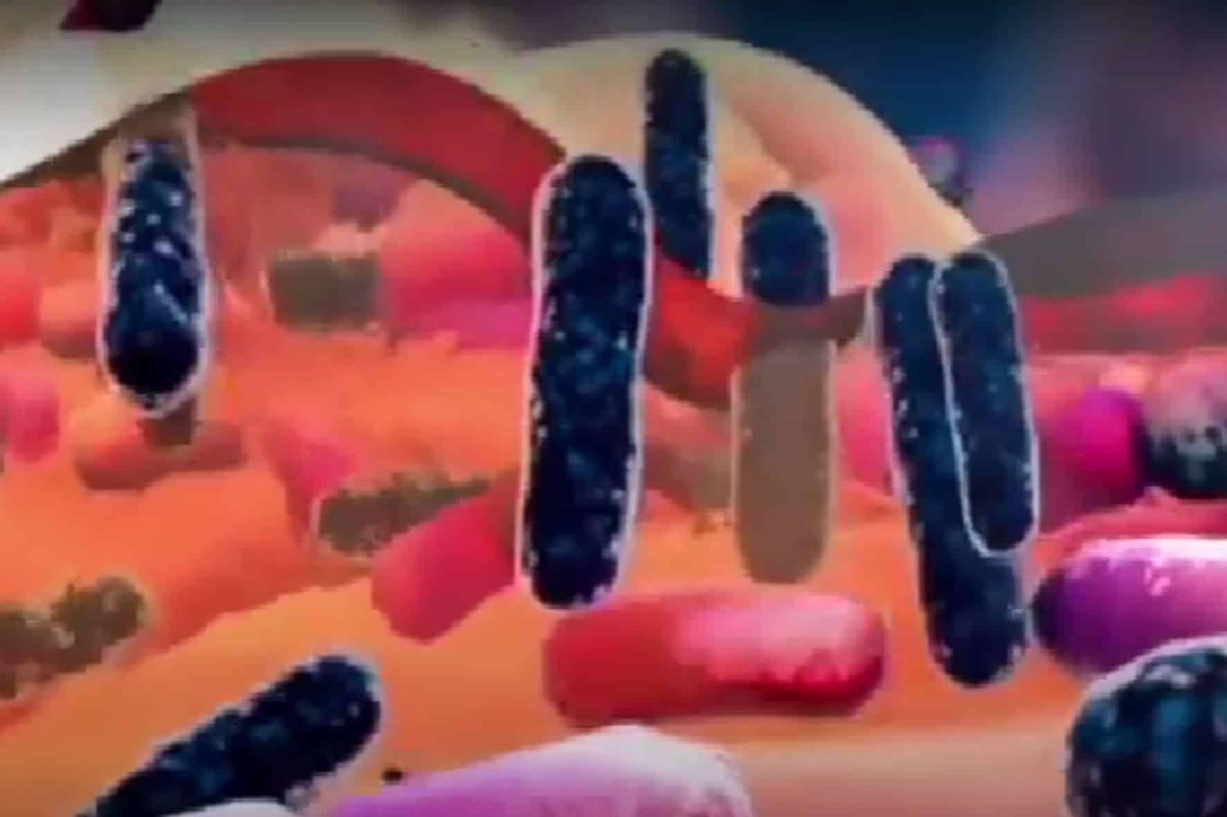 la vaginosis bacteriana