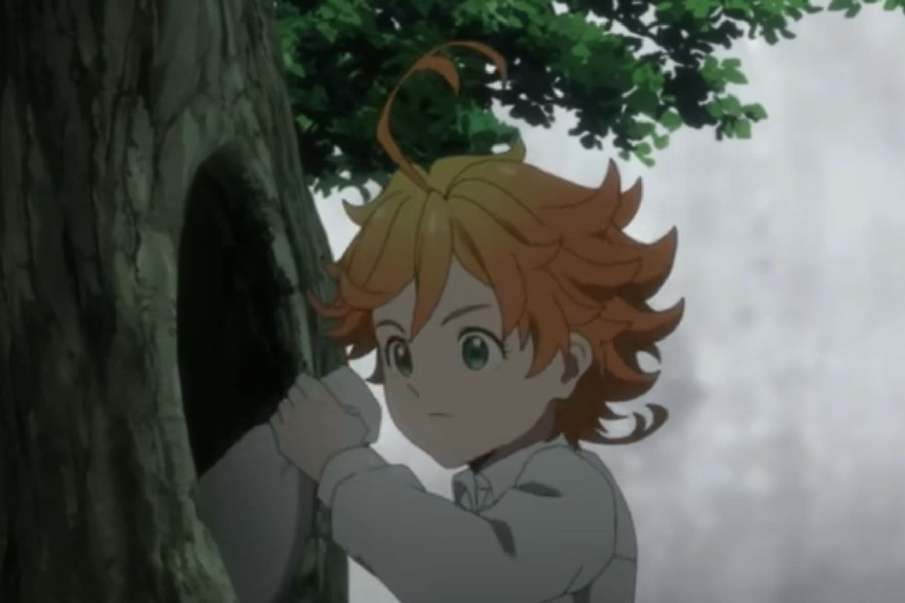 The Promised Neverland