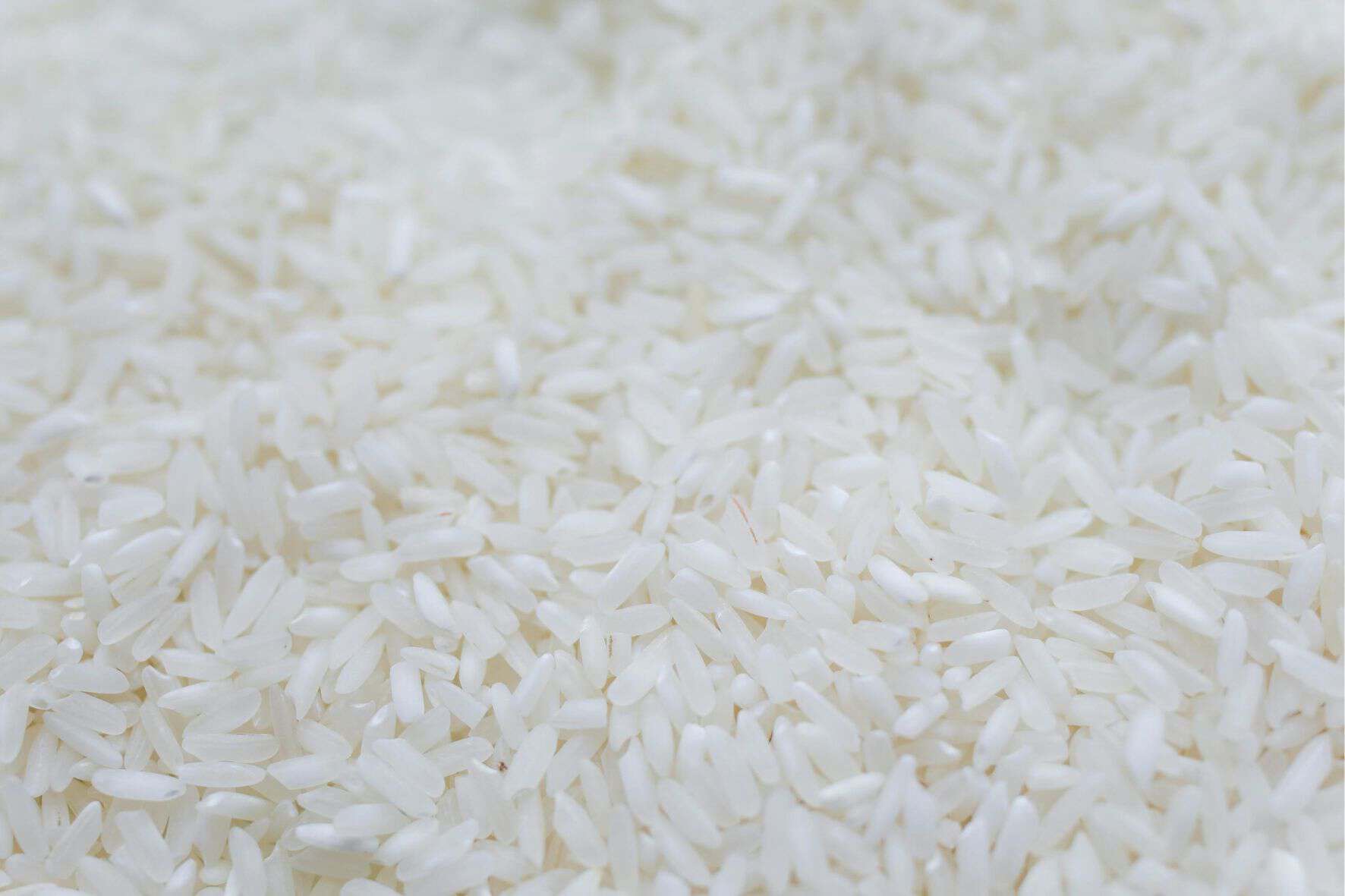 Arroz Blanco