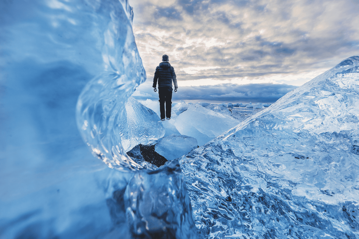 Temperatura global y acción humana: