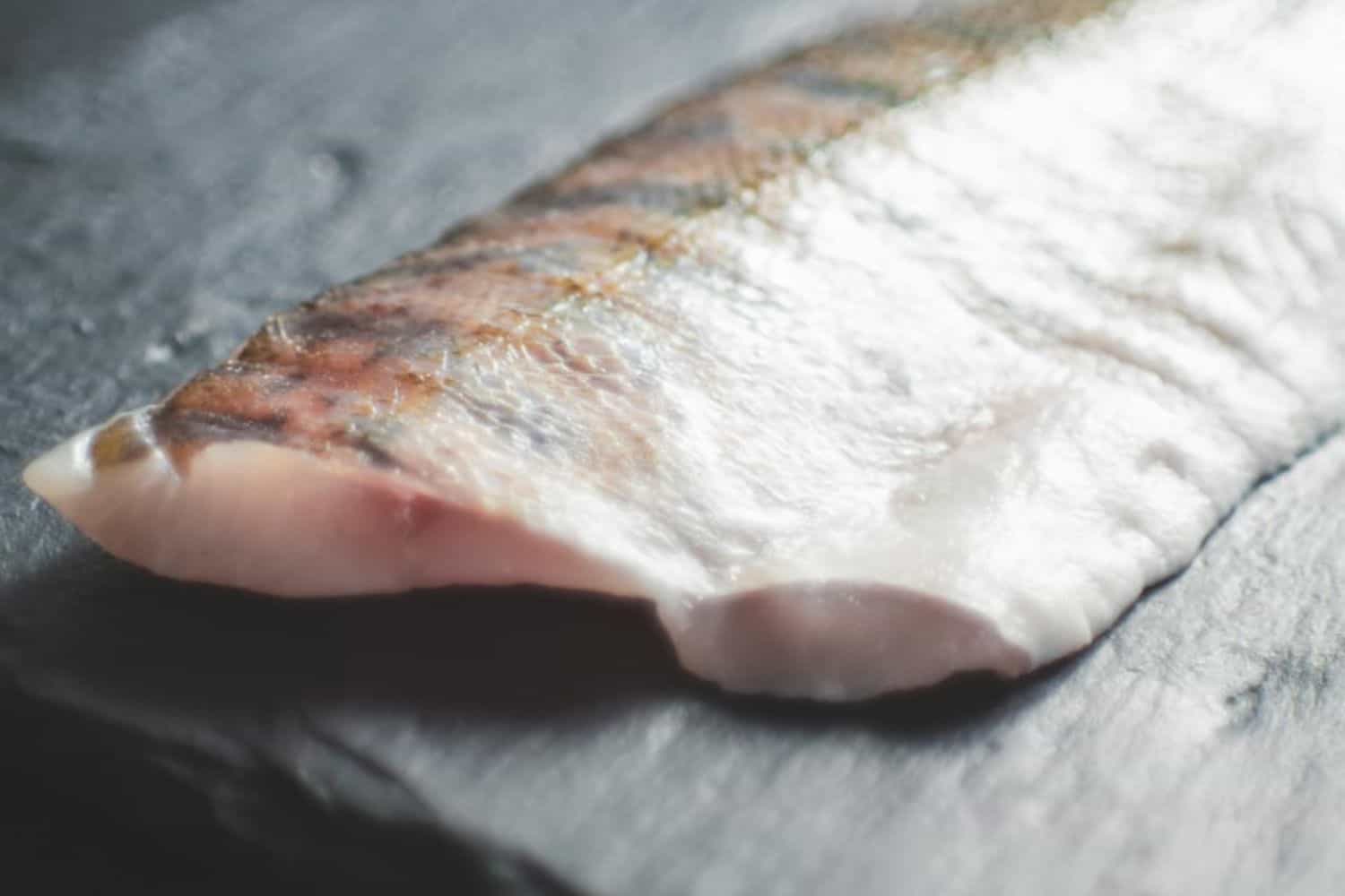 pescados y mariscos