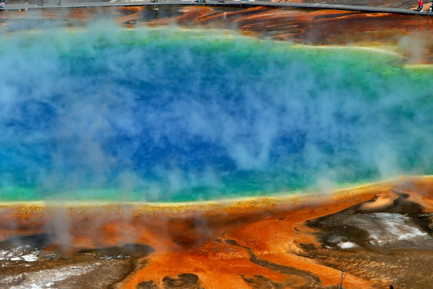 Termófilos: los secretos de la vida que hierve en las aguas mágicas de Galicia