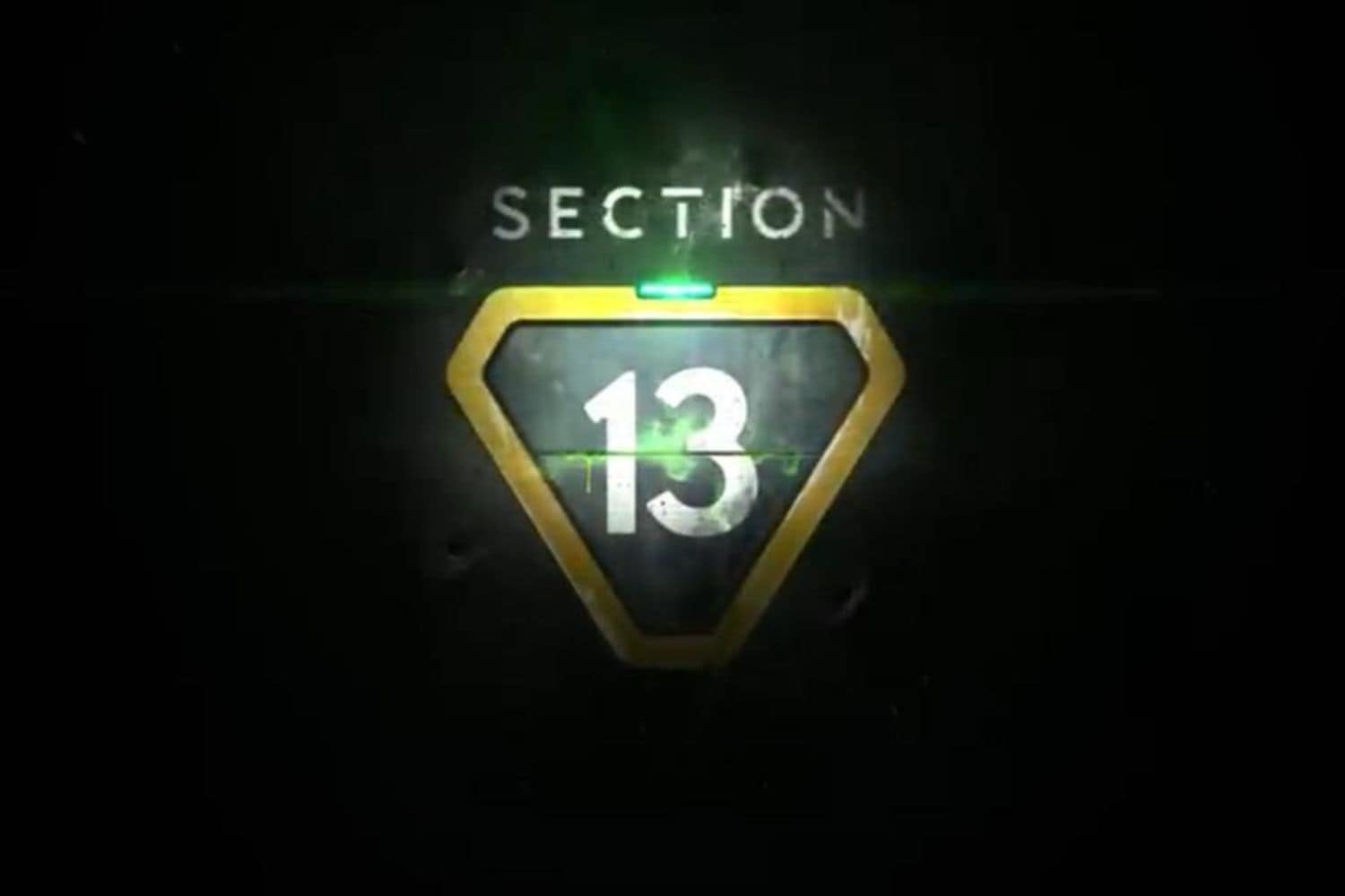 Section 13