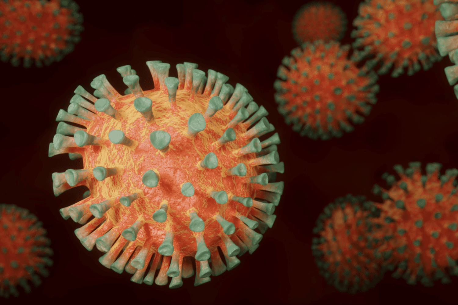 Virus H1N1: lo que debes saber sobre los síntomas y el tratamiento de la gripe A