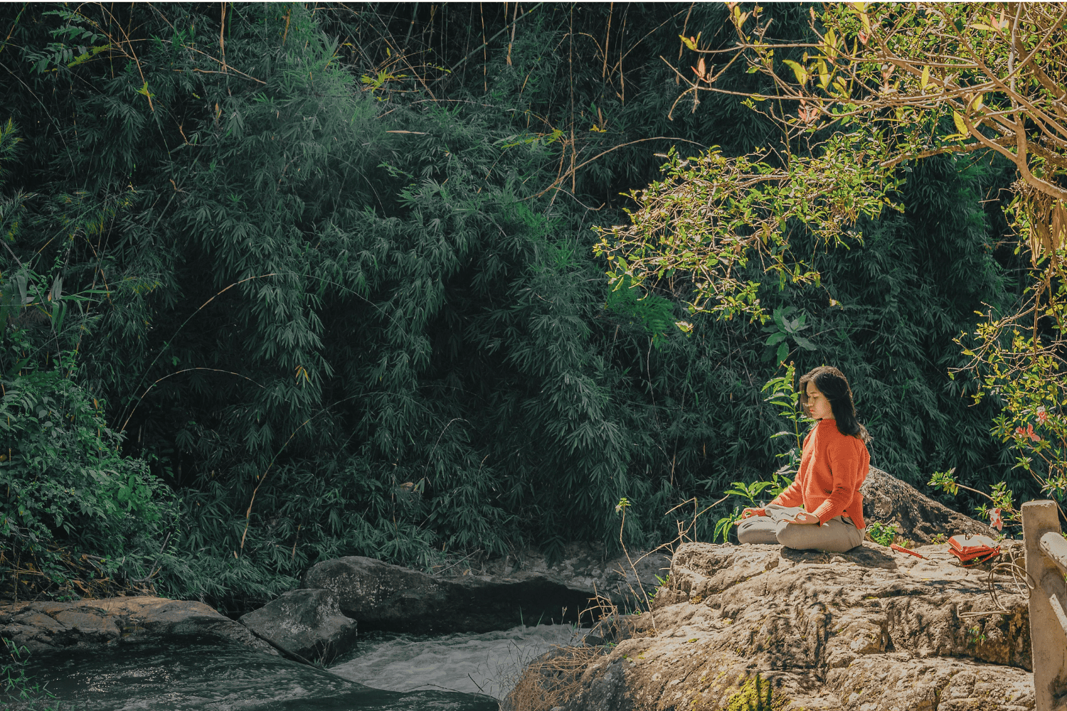 Meditación y felicidad: cómo convertirla en un hábito duradero según Dan Harris