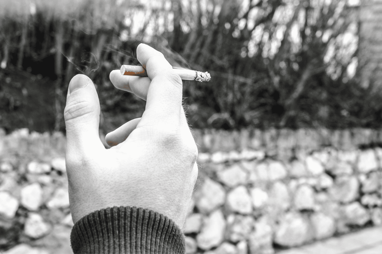 Dejar de fumar: lo que pasa en tu cuerpo desde los primeros 20 minutos