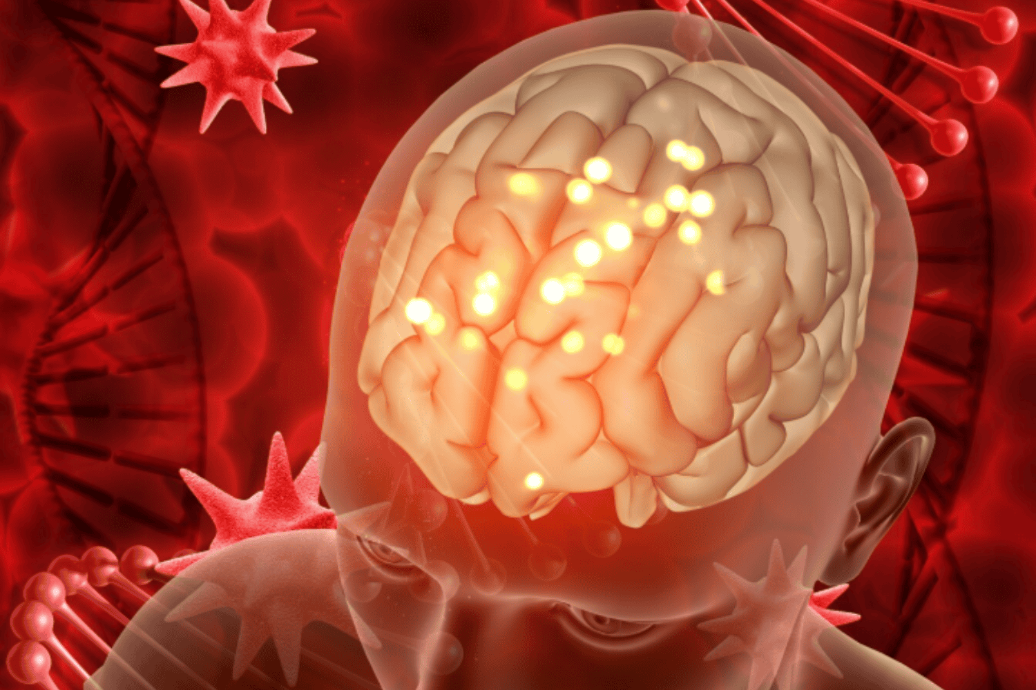 Triglicéridos en el cerebro: el sorprendente combustible oculto de las neuronas