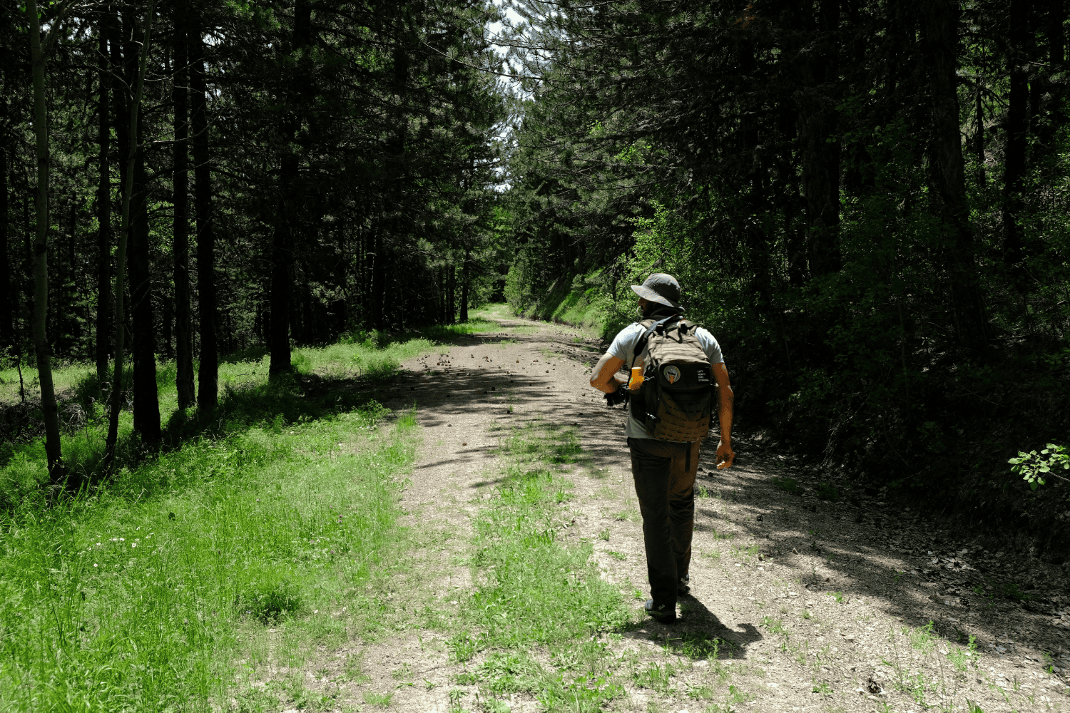 Menos de 15 minutos en la naturaleza pueden transformar tu bienestar mental