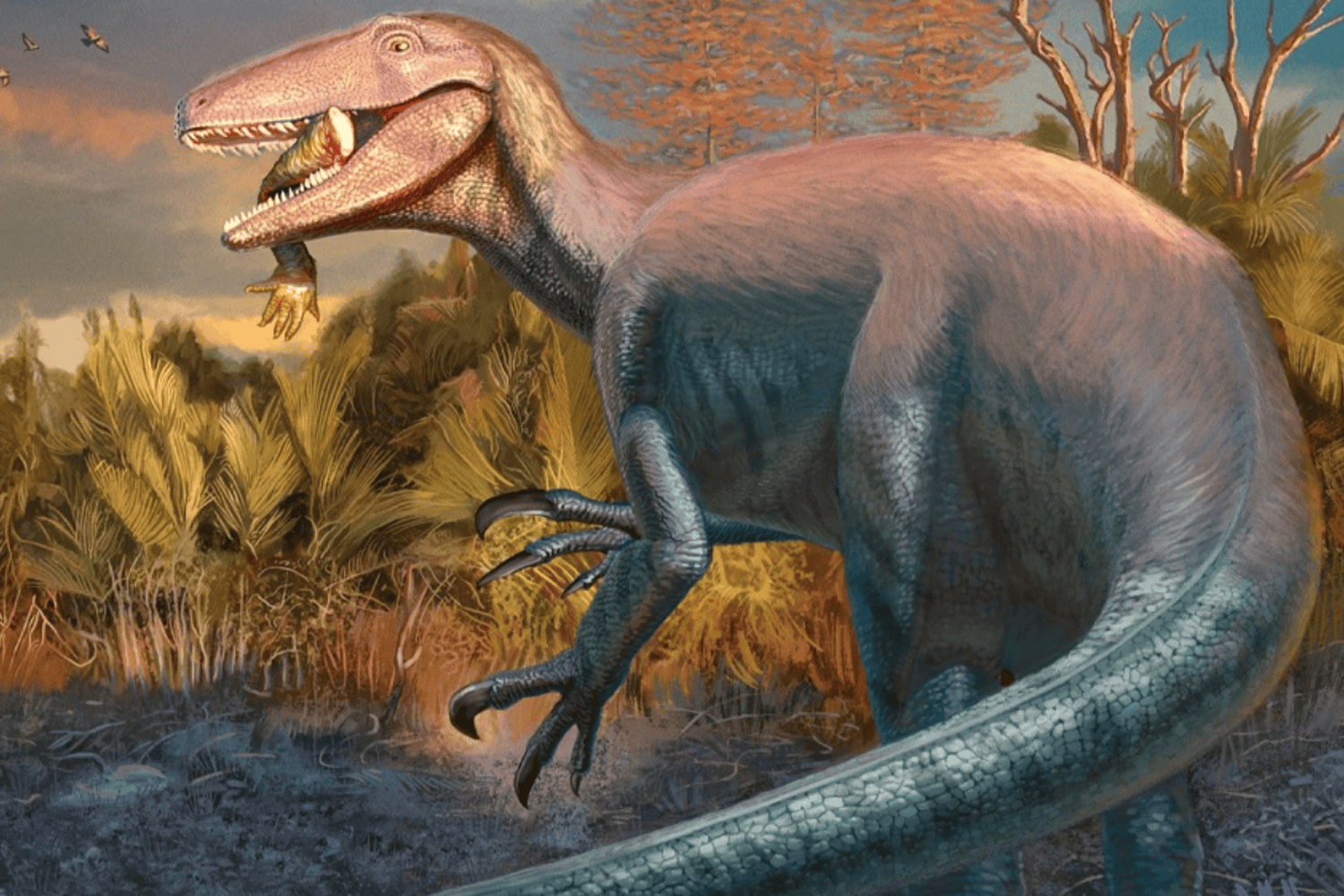 Joaquinraptor casali: el depredador patagónico que murió con un hueso de cocodrilo entre los dientes