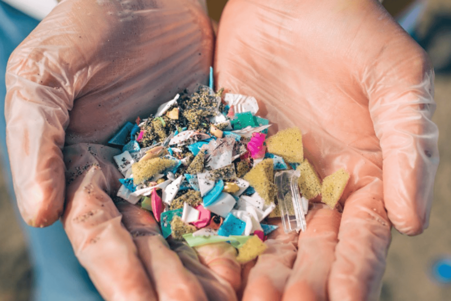 Microplásticos en tu cocina: cómo llegan a tu plato y qué puedes hacer para reducirlos