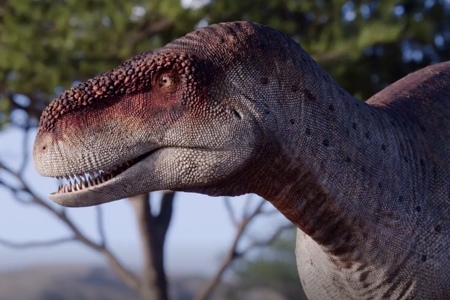 Un carnívoro inesperado en La Rioja: el hallazgo que reescribe la historia de los dinosaurios argentinos