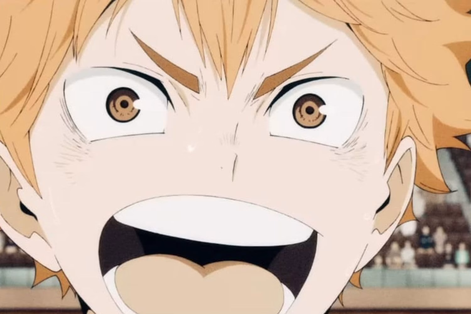 Haikyu!! vs. Chiisana Kyojin