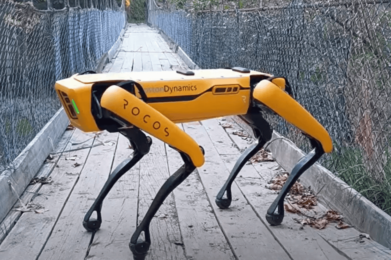 Camina entre las vides como un perro, pero piensa como un agrónomo: el robot que está cambiando el campo