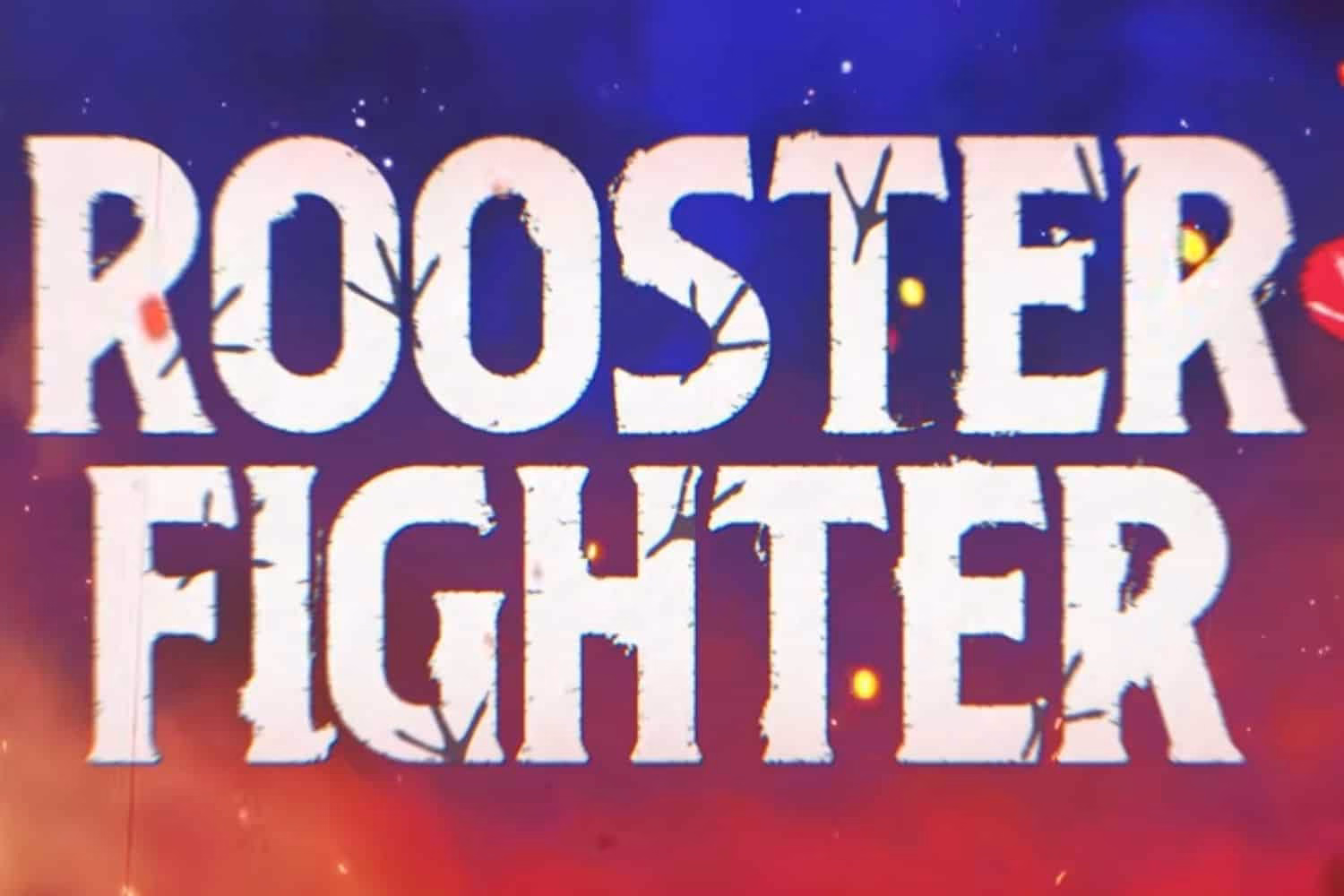 Rooster Fighter