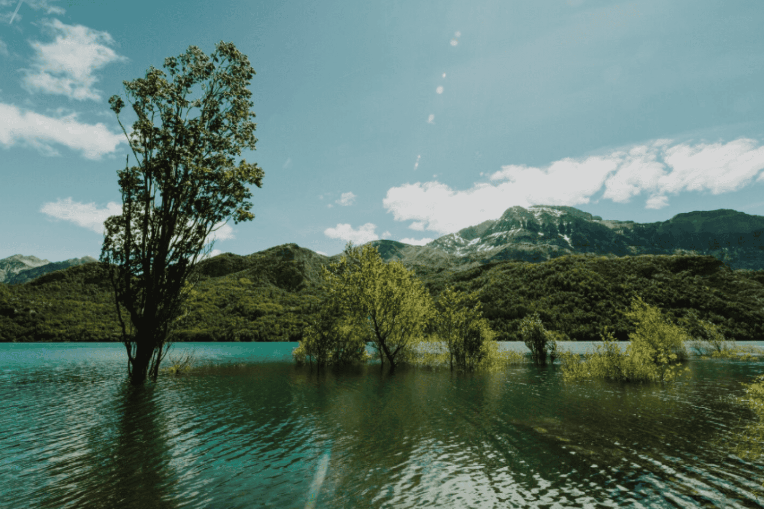 Cerrar la naturaleza al turismo: la solución fácil que podría empeorar el problema
