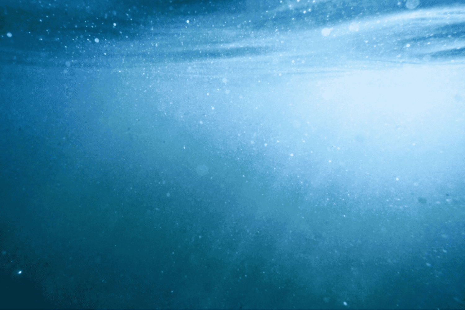 La IA revela un secreto oculto del océano: así se mueve el carbono que regula el clima