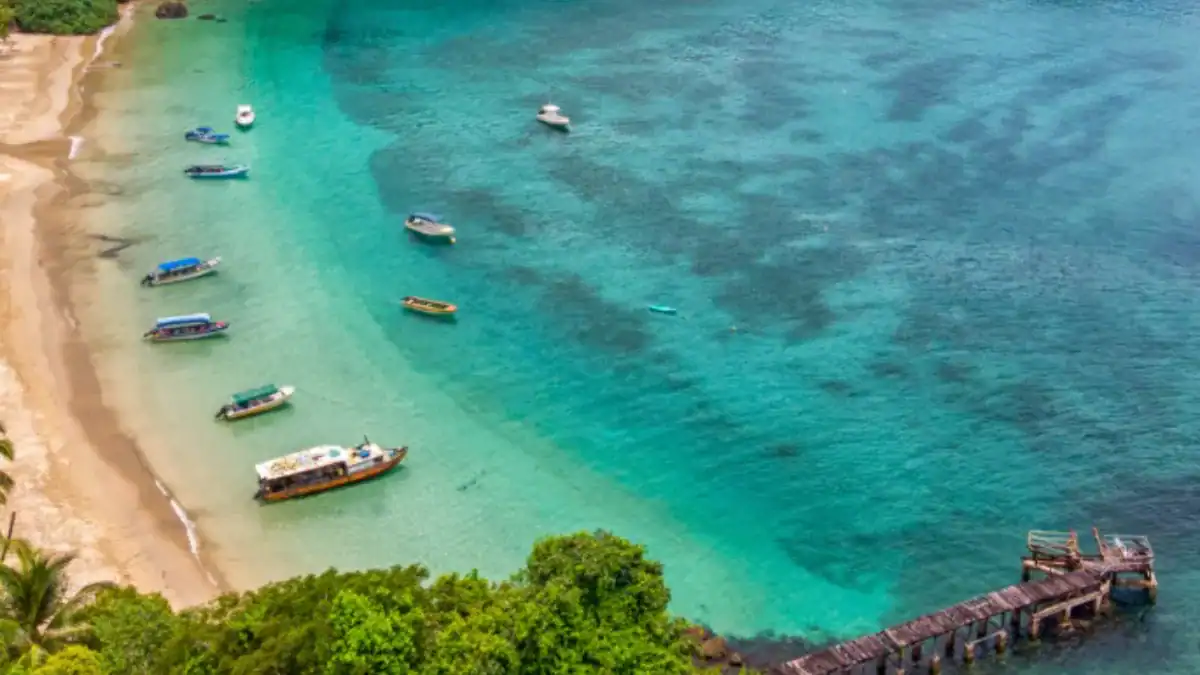 cuando el océano deja de respirar: el año en que el golfo de panamá perdió su motor de vida
