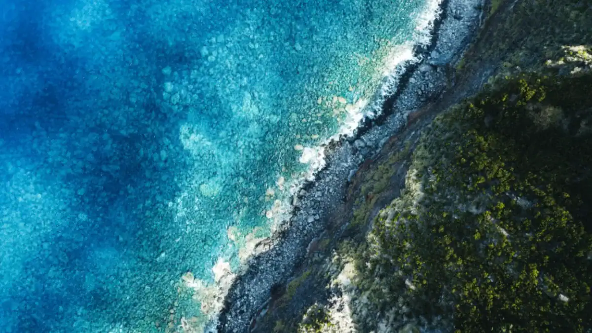 El océano ya no funciona igual: la transformación silenciosa que puede cambiar la vida en la tierra