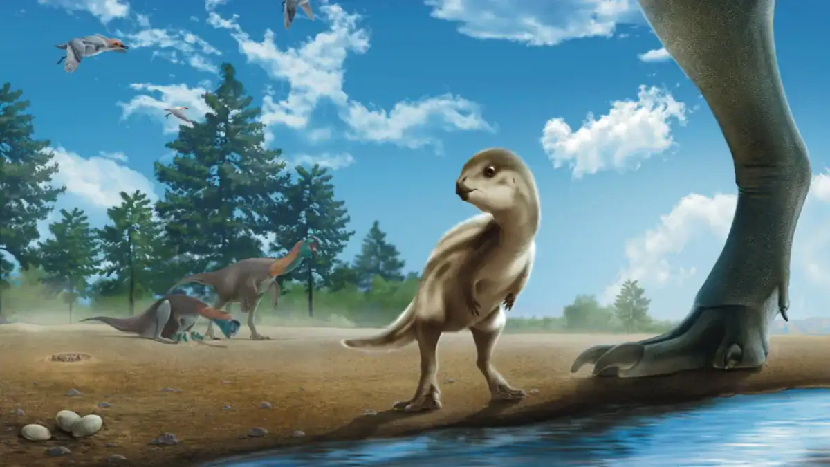 El dinosaurio bebé que parece sacado de un dibujo animado… y tiene 100 millones de años