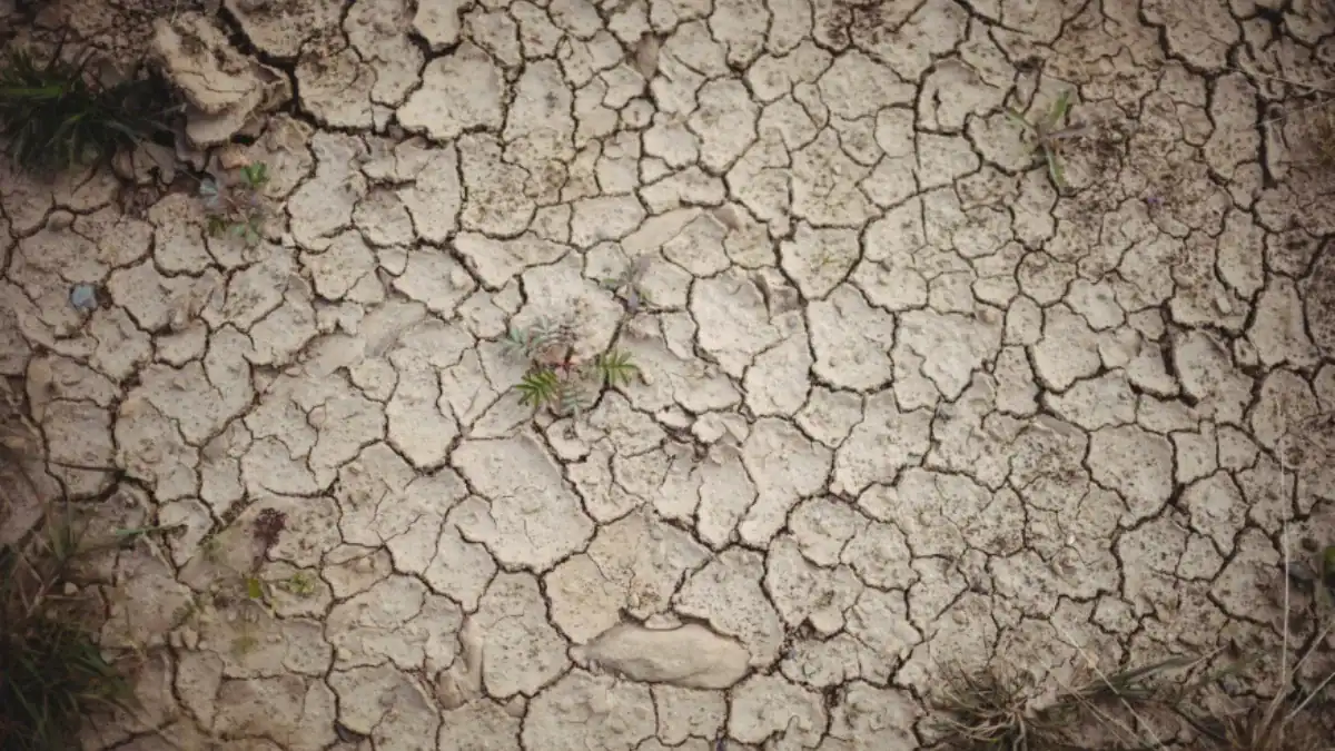 La sequía no evolucionará como pensábamos: la ciencia acaba de cambiar el pronóstico global