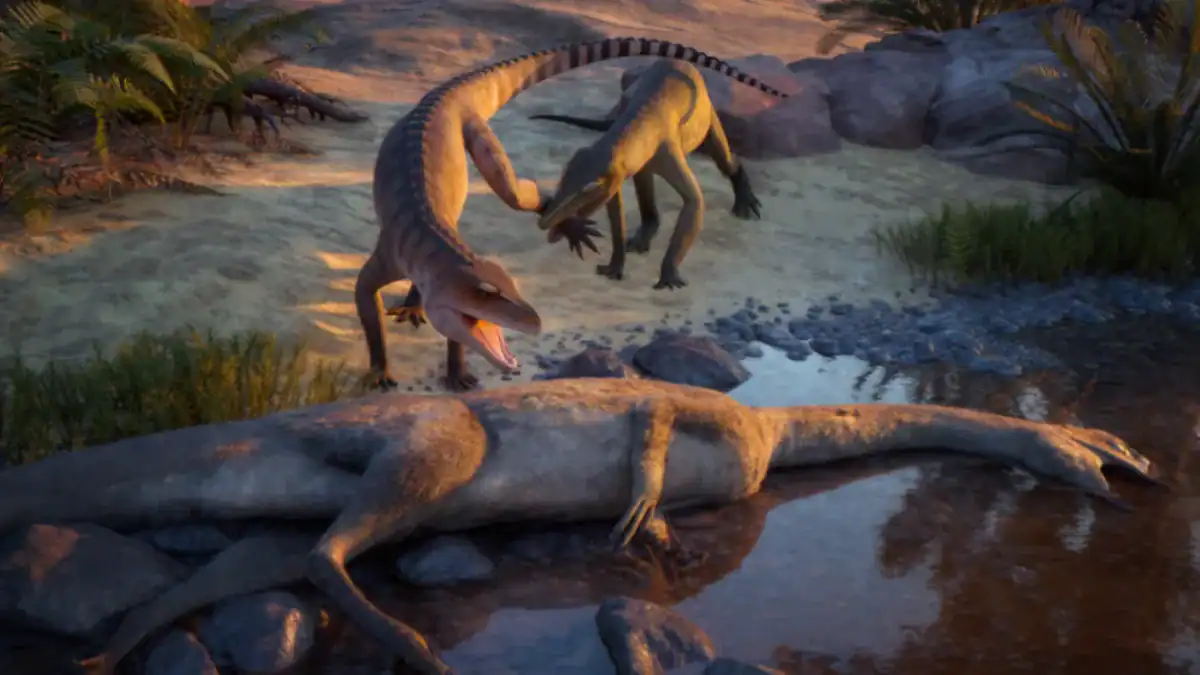 Un fósil olvidado durante décadas cambia lo que sabíamos sobre los cocodrilos