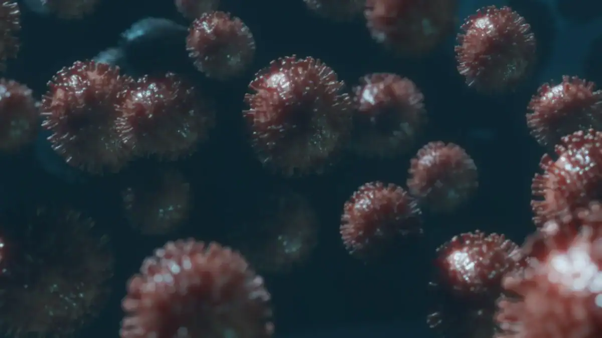 El virus del mar que preocupa a los científicos: podría afectar la vista y ya está bajo vigilancia global