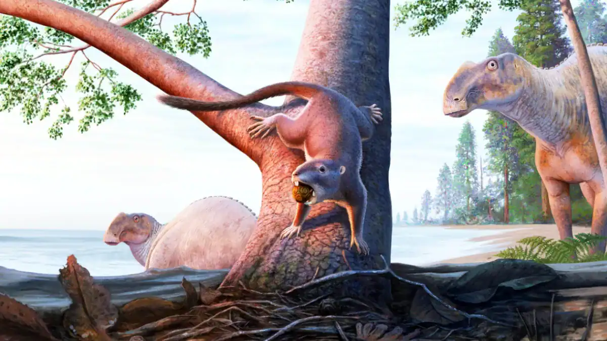 El mamífero diminuto que sobrevivió al desastre que borró a los dinosaurios