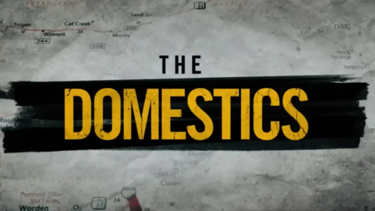 The Domestics