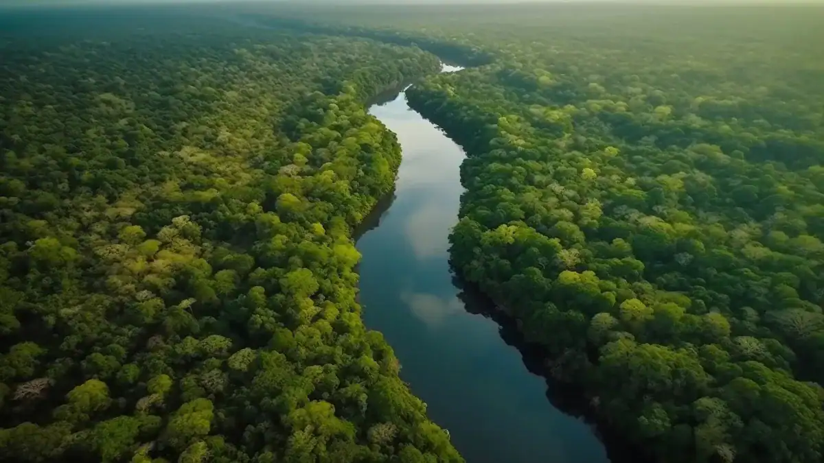 Un archivo oculto bajo el Atlántico revela cómo cambió el clima del Amazonas
