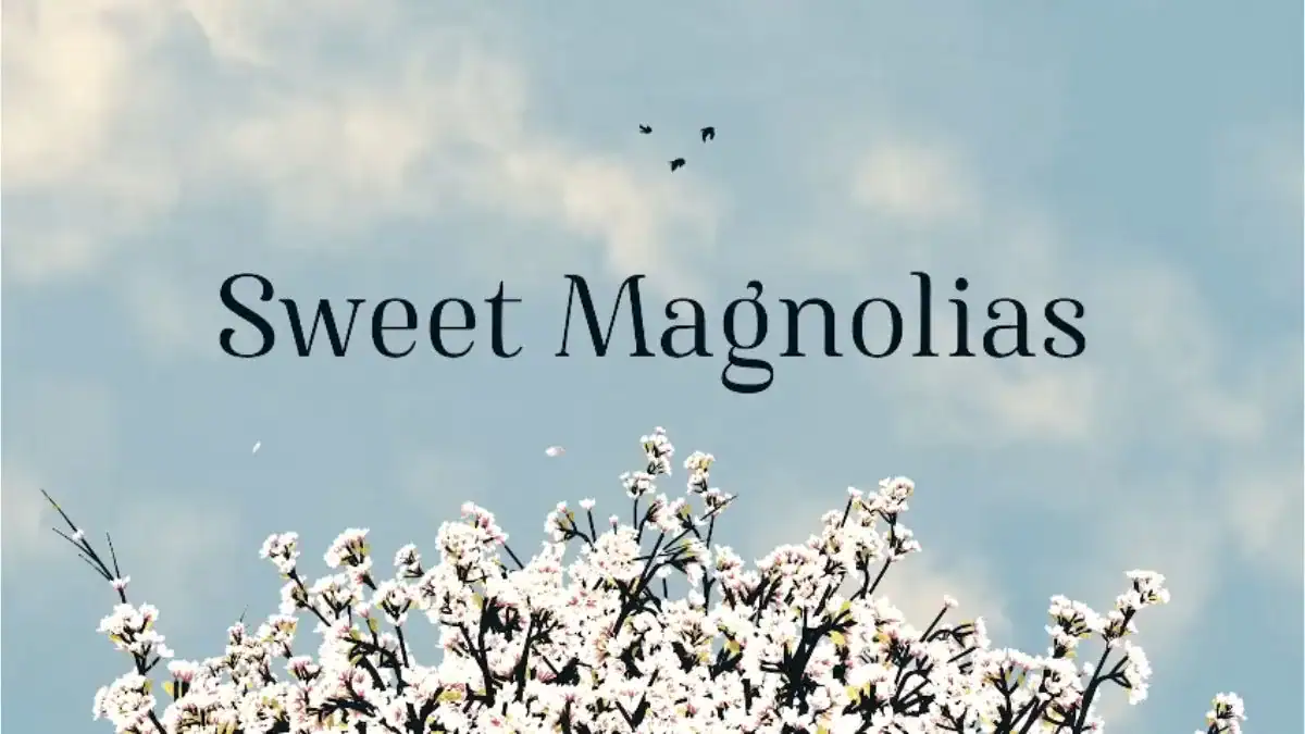 Dulces Magnolias temporada 5 llega a Netflix con giros inesperados que podrían cambiar para siempre el futuro de sus protagonistas