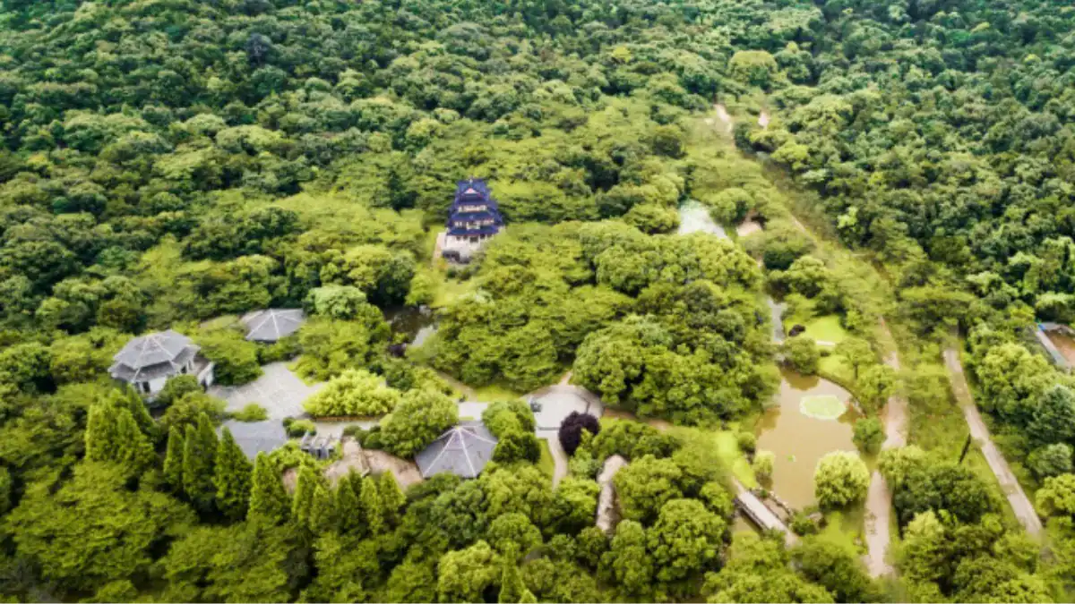 La ciudad amazónica que no estaba perdida: el hallazgo que cambió la historia de la selva