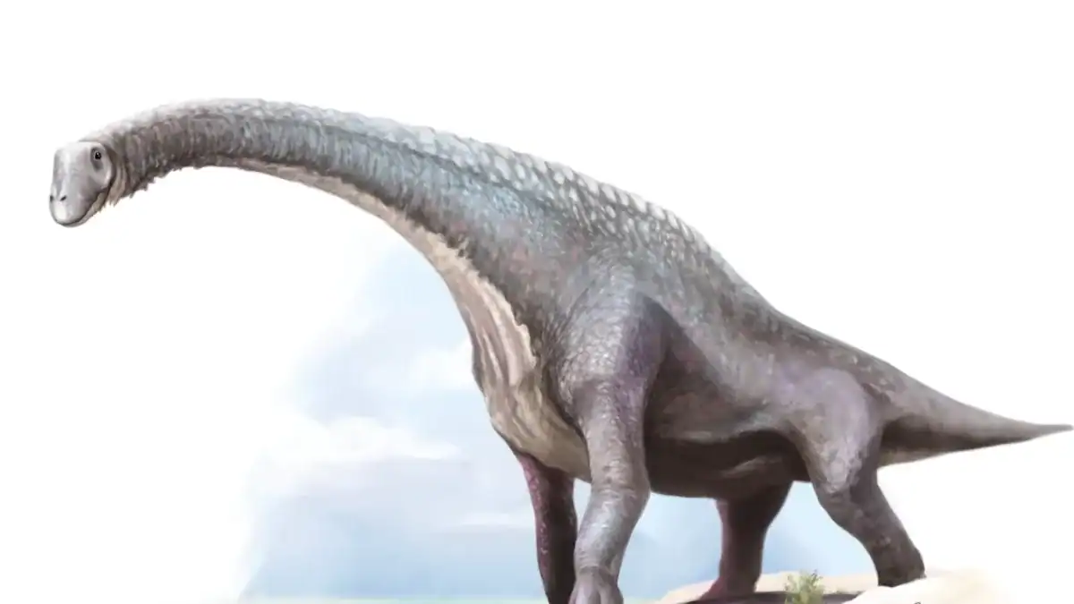 Creían que era un reptil marino, pero el primer fósil de dinosaurio de la Antártida escondía una sorpresa
