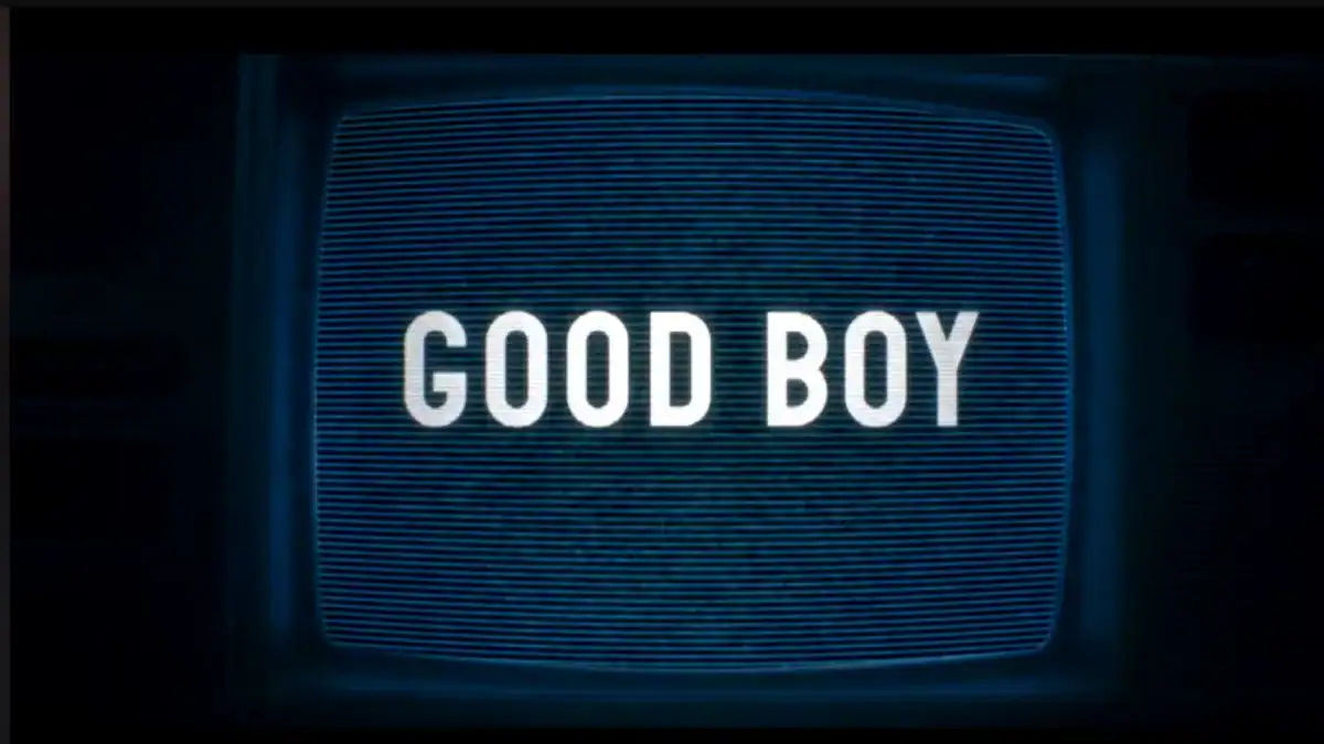 Good Boy
