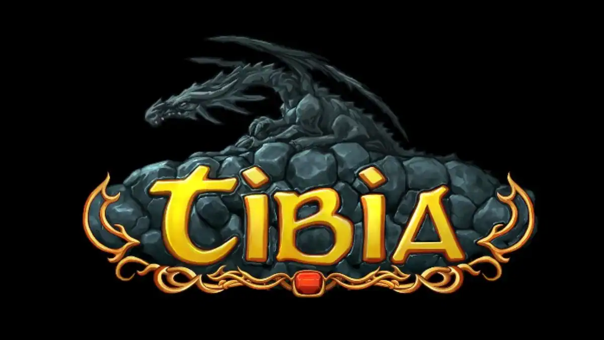 Tibia
