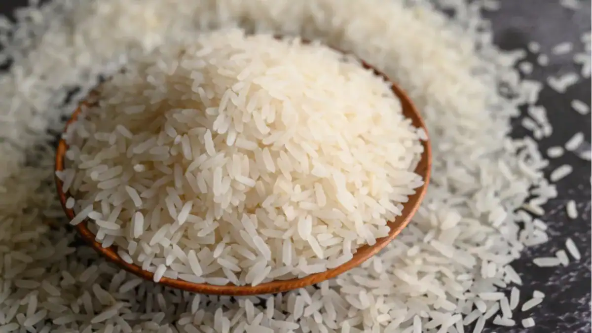 Cultivar arroz en la Luna ya no suena tan imposible: Japón tiene una posible solución