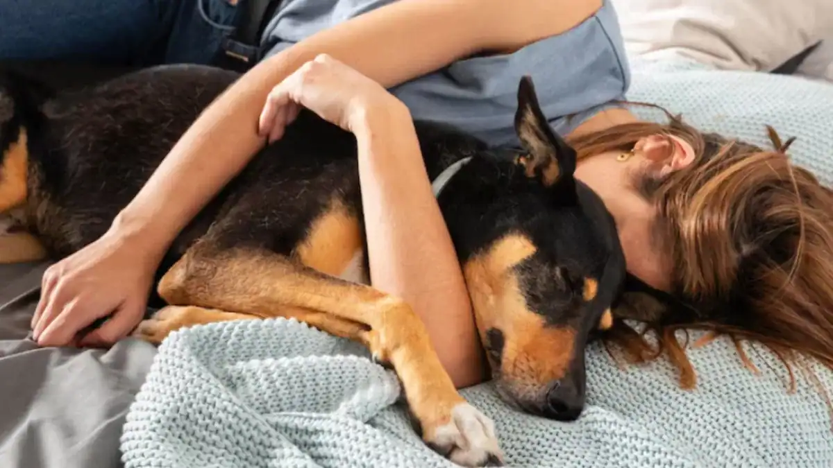 Dormir con tu perro o tu gato puede ser reconfortante, pero la ciencia advierte que no siempre ayuda al descanso