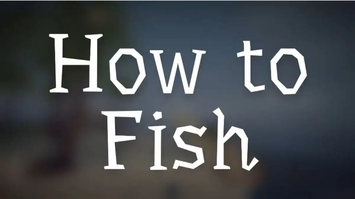 How to Fish